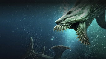 #5 Jurassic Sharks