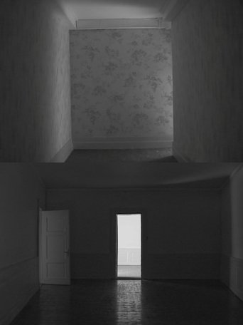 Untitled (Vertical Sliding/Horizontal Sliding) (2001)