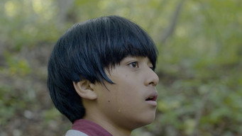 Night Light (2018)