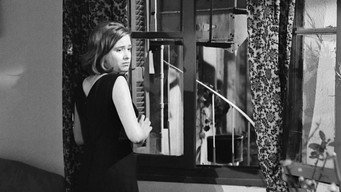 #8 Ladies of the Courtyard