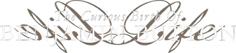 The Curious Birth of Benjamin Button logo
