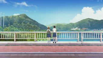 #4 The Summer