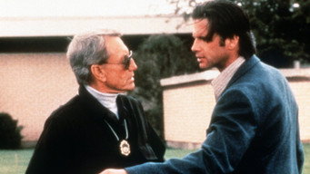 The Rage (1997)