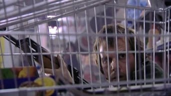 Полуничка в супермаркеті (2003)