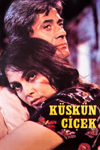 Resentful Flower (1979)