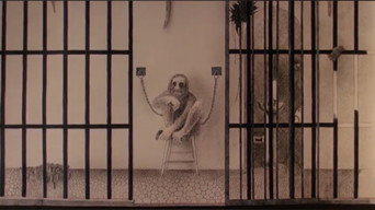 #16 The Mafu Cage