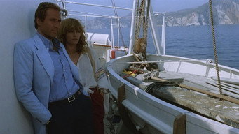 Seagulls Fly Low (1978)