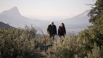 Les Pennac(s) (2021- )