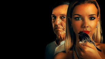 Carcass (2025)