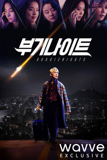 부기나이트 poster