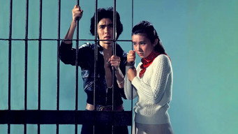 Light and Shade of Youth (1976)