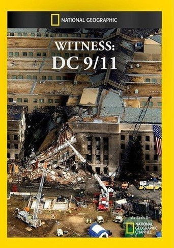 Witness: DC 9/11 poster