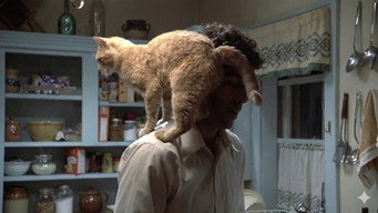 #39 The Long Goodbye
