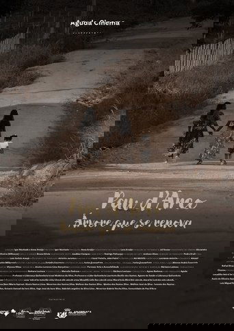 Pau D’arco: Árvore que Se Renova