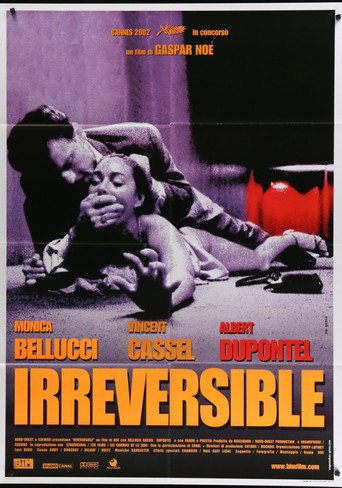 The Irreversible Odyssey poster