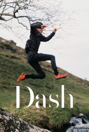 Dash poster