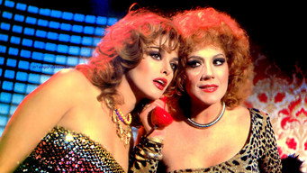 Colorina (1980-1981)