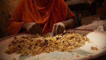 Episode 20 — The Price of Purity