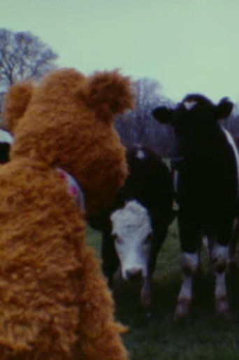 The Muppet Movie Camera Test poster