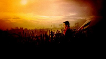 #10 The Rabbit Hunters