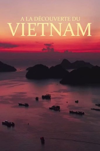 A la découverte du Vietnam en streaming 