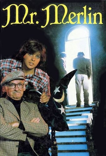 Mr. Merlin: Season 1