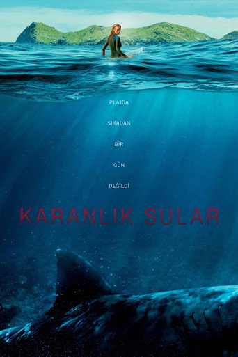 Poster 5