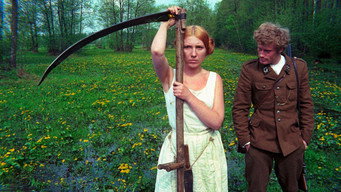Березняк (1970)