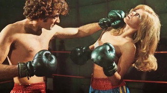 A Super Fêmea (1973)