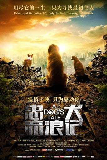 Poster of 忠犬流浪记