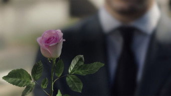 A Rose Reborn (2014)