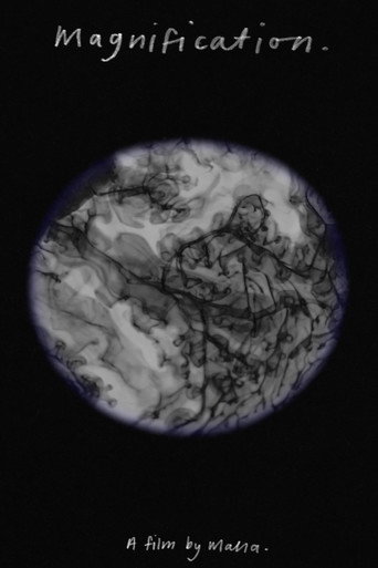 Magnification. (2024)