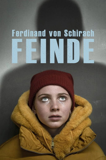 Feinde: Das Geständnis poster