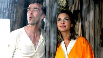 Син примари (2007)