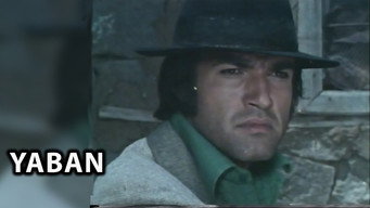 The Misogynist (1973)