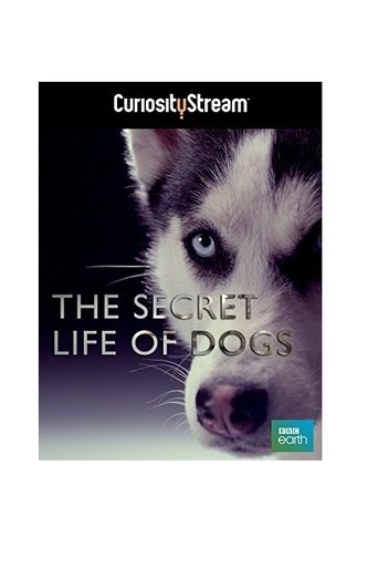 Poster för The Secret Life of Dogs