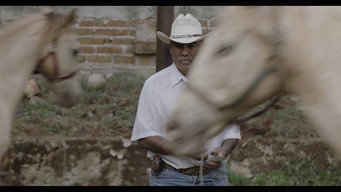 Horse Wrangler (2018)