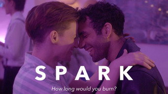 #5 Spark