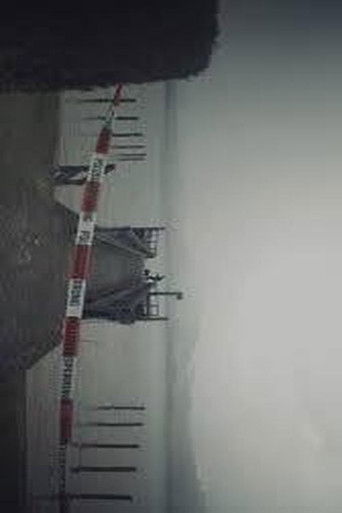 Lady in the Lake poster