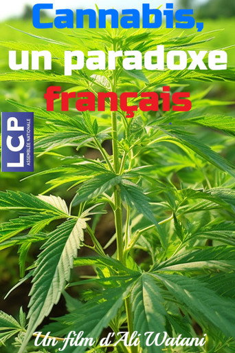 Cannabis, un paradoxe fran&ccedil;ais (2025)