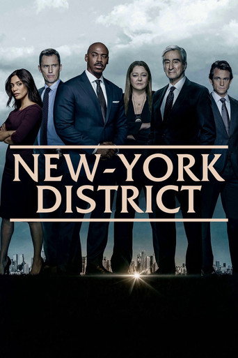 New York, police judiciaire — affiche alternative