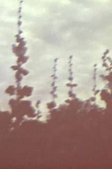 Oo Fifi, Five Days In Claude Monet's Garden, Part 2 poster