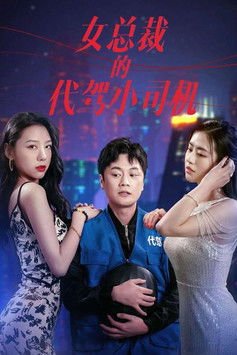 女总裁的代驾小司机 poster