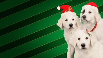 Galeria 1 - Navidad con los Buddies: En busca de Santa Can