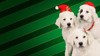 Santa Buddies backdrop 2