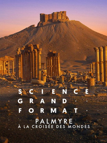 Palmyre, &agrave; la crois&eacute;e des mondes (2024)
