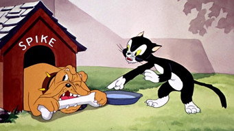 The Cat's Tale (1941)