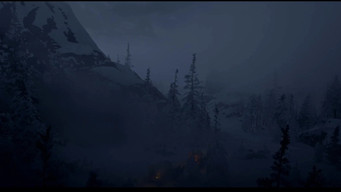 Outlaws from the West