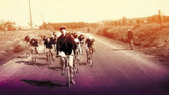 School for Postmen (1947)