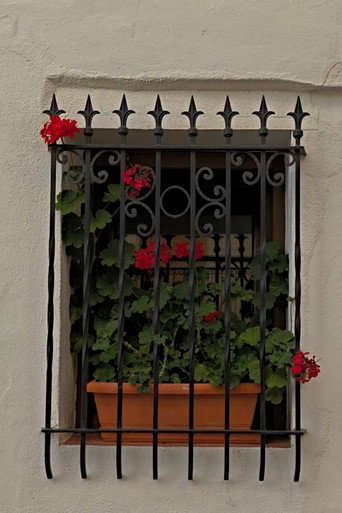 Las calles que nos quedan